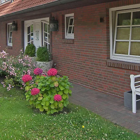 Sylter Hahn Westerland